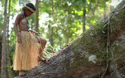 AMAZONIE UNE FORÊT QUI N’ASPIRE QU’A VIVRE AVEC LES HOMMES ET FEMMES