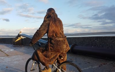 COP 25 : UNE IMPOSANTE DELEGATION D’OURS  MANIFESTE SUR PLACE