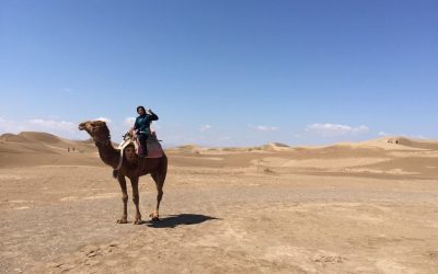 SITUATION EN IRAN : UNE JEUNE IRANIENNE TEMOIGNE EN LIVE