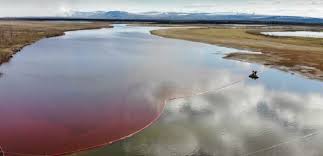 LARME ROUGE SUR FOND DE CRISE ECOLOGIQUE