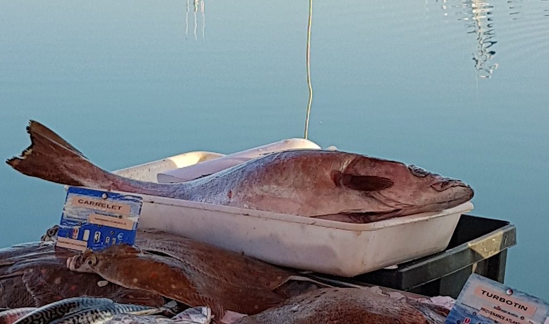 POISSON D&rsquo;AVRIL
