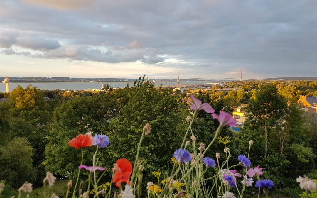 SÉJOUR CHEZ « NIGHT & DAY »  À HONFLEUR : WHY NOT ?