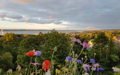 SÉJOUR CHEZ « NIGHT & DAY »  À HONFLEUR : WHY NOT ?