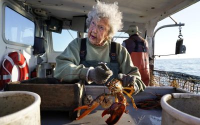 HOMARD &  SECRET DE  LONGÉVITÉ