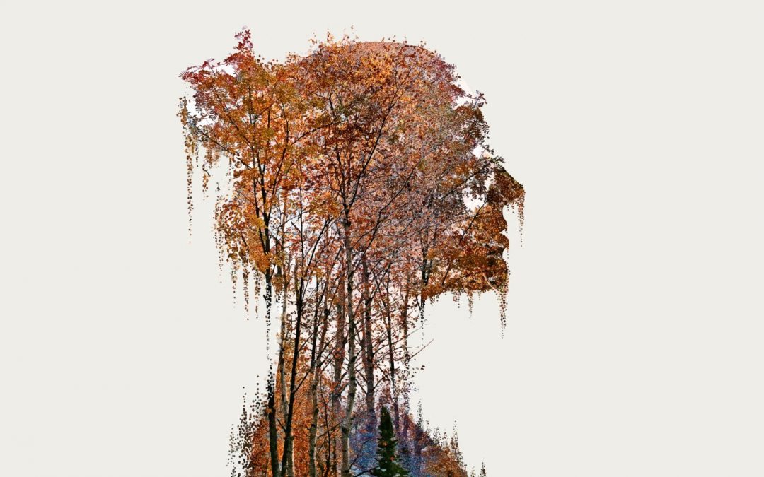 EXPOSITION UNIVERSELLE À DUBAÏ  LES FEMMES BATTENT PAVILLON