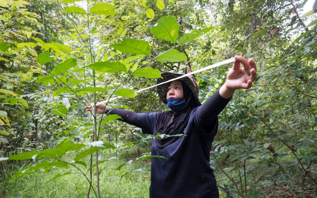 À BORNÉO LES FEMMES PRENNENT LE MAL DU RÉCHAUFFEMENT CLIMATIQUE À LA RACINE