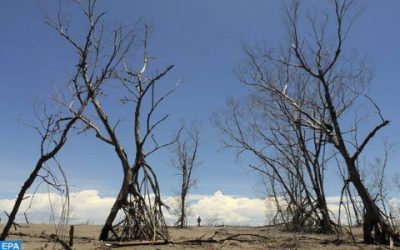 CANICULE ET RISQUE D&rsquo;ASSÈCHEMENT DE LA DÉMOCRATIE