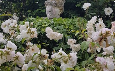 ENTOURÉ DE FLEURS