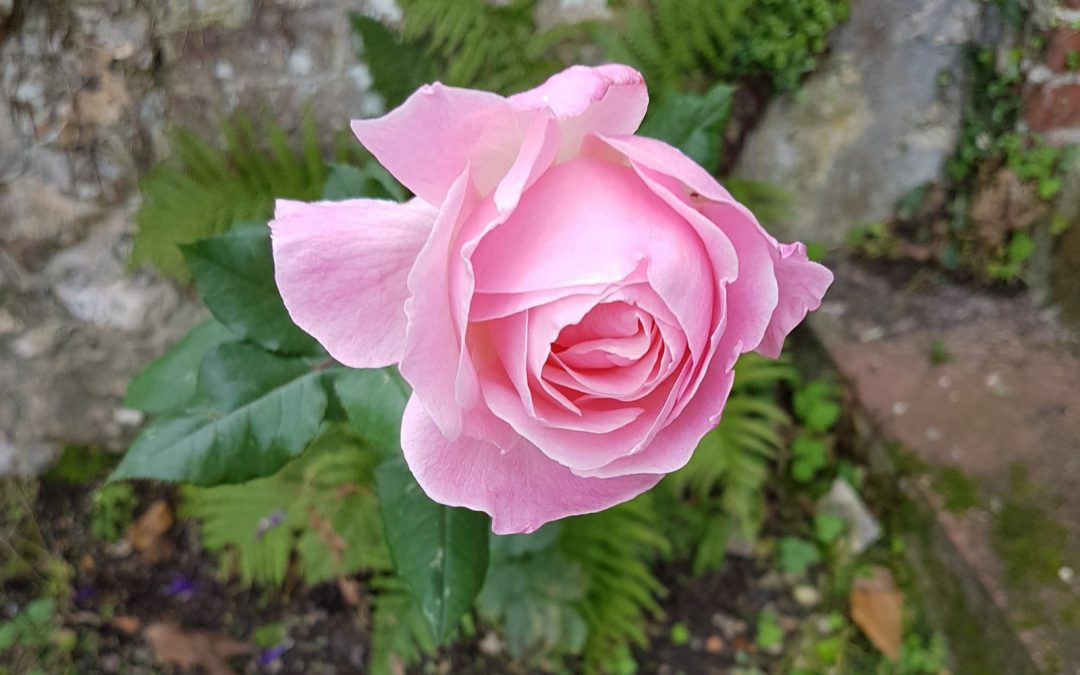 REGARD OBJECTIF SUR  L&rsquo;EXPOSITION « ELLES  X PARIS PHOTO »