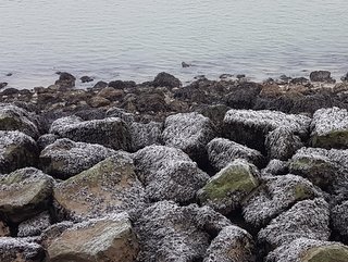MISE EN BOUCHE AVEC LA DÉGUSTATION SURPRISE DU JOUR !
