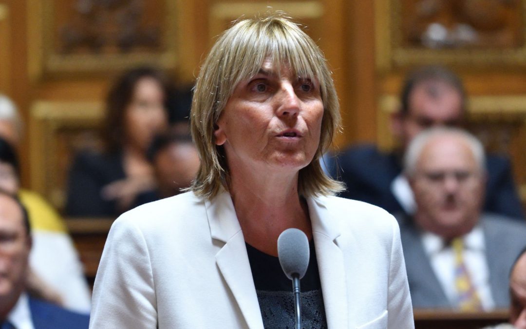 LA PROPOSITION DE LOI VISANT À AIDER LES FEMMES VICTIMES DE VIOLENCES CONJUGALES  FAIT CONSENSUS