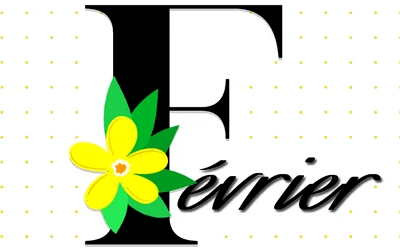 LE MOIS LE PLUS COURT