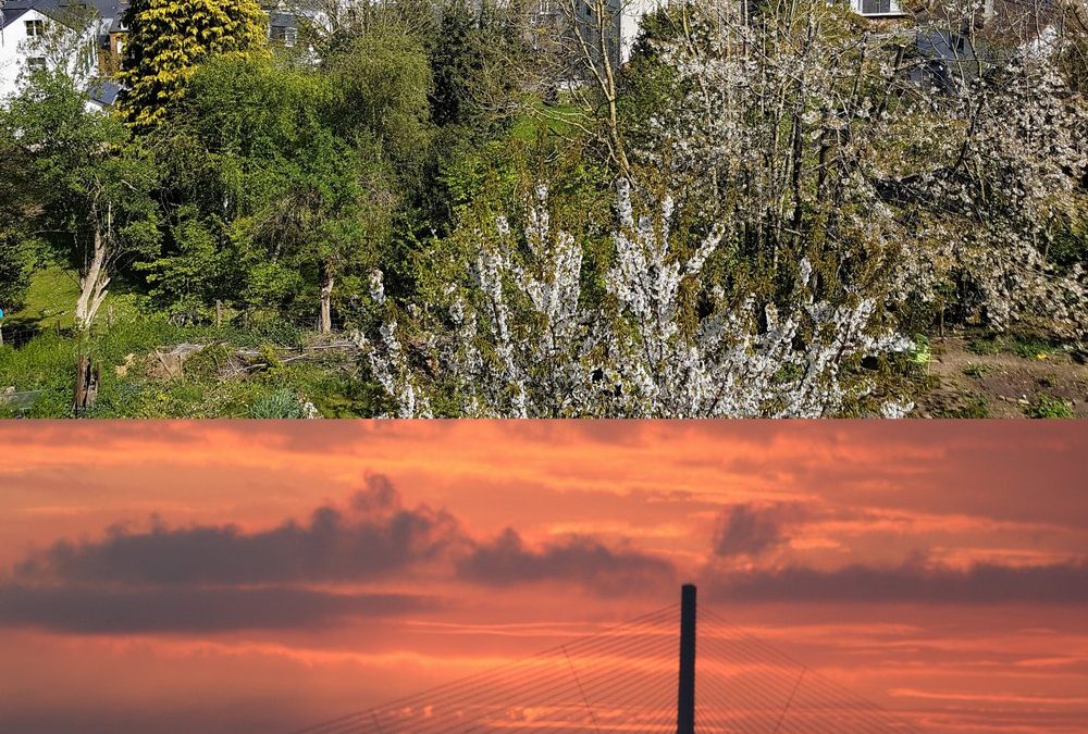 SE RAPPROCHER DE WOMEN eLIFE « NIGHT & DAY » EST POSSIBLE