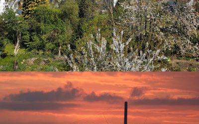 SE RAPPROCHER DE WOMEN eLIFE « NIGHT & DAY » EST POSSIBLE