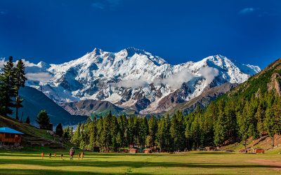 SPORTS ET FEMMES FONT BON MÉNAGE