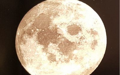 VERS UNE RECONFIGURATION DU MONDE